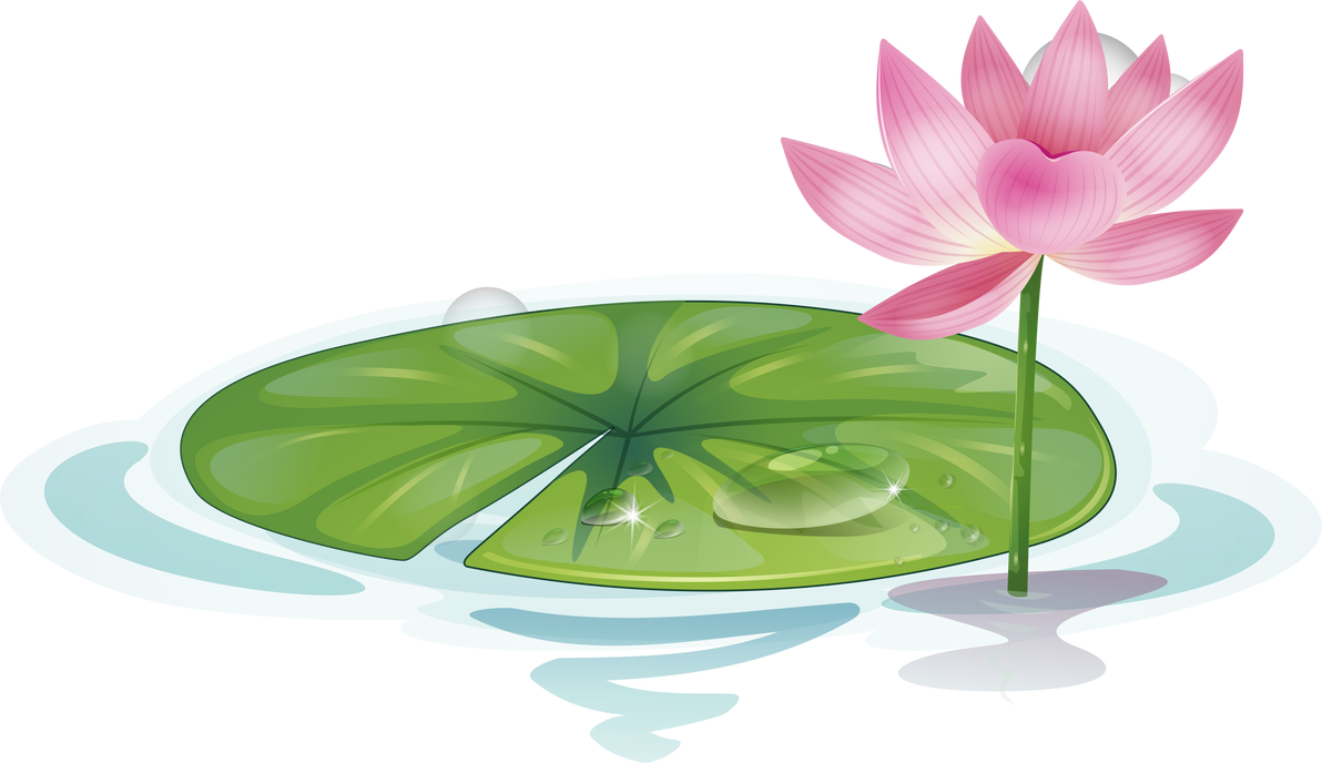 Lotus Leaf and Flower Cartoon Illustration