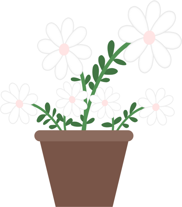 White Flower in a Flower Pot