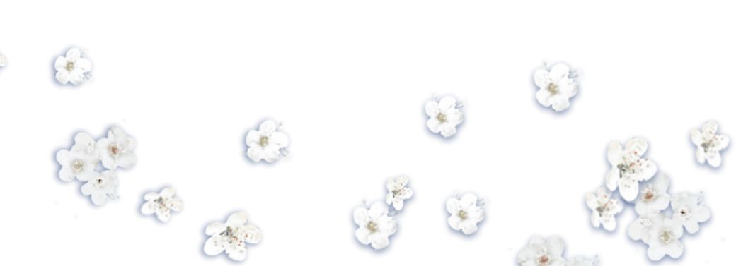 White Flowers Cutout